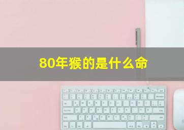 80年猴的是什么命