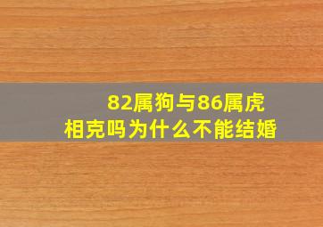 82属狗与86属虎相克吗为什么不能结婚