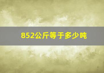 852公斤等于多少吨