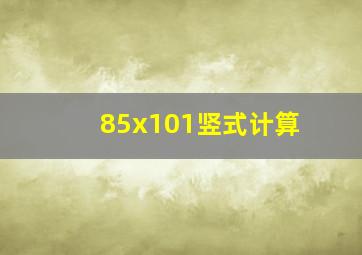 85x101竖式计算