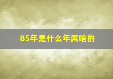 85年是什么年属啥的