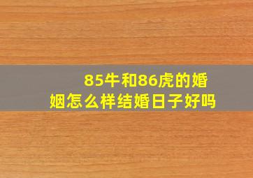 85牛和86虎的婚姻怎么样结婚日子好吗