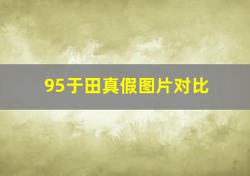 95于田真假图片对比