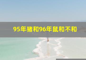 95年猪和96年鼠和不和