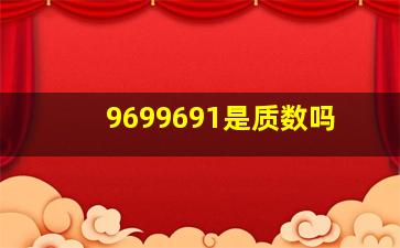 9699691是质数吗