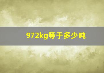 972kg等于多少吨