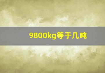 9800kg等于几吨