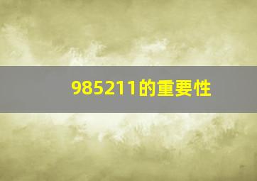 985211的重要性