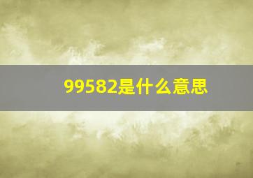 99582是什么意思