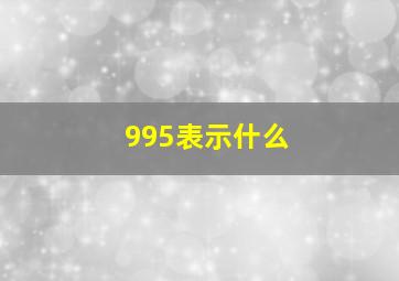 995表示什么