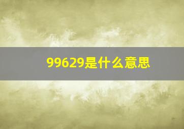 99629是什么意思