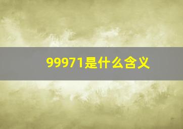 99971是什么含义