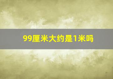 99厘米大约是1米吗