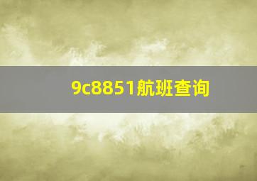 9c8851航班查询