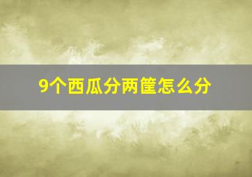 9个西瓜分两筐怎么分