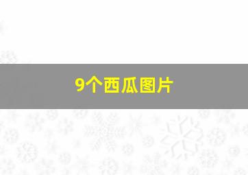 9个西瓜图片