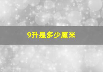 9升是多少厘米