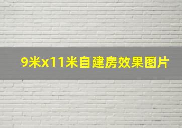 9米x11米自建房效果图片