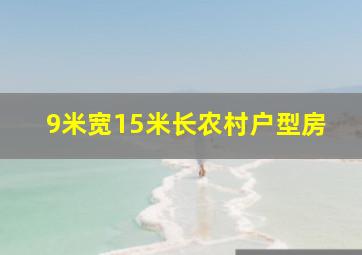 9米宽15米长农村户型房