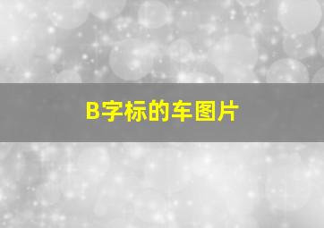 B字标的车图片