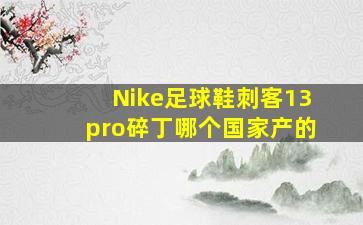 Nike足球鞋刺客13pro碎丁哪个国家产的