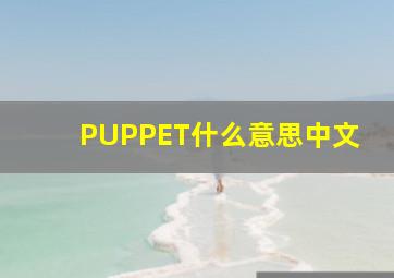 PUPPET什么意思中文