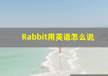 Rabbit用英语怎么说