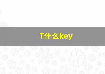 T什么key