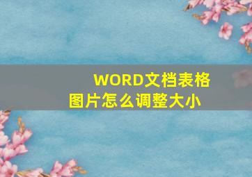 WORD文档表格图片怎么调整大小