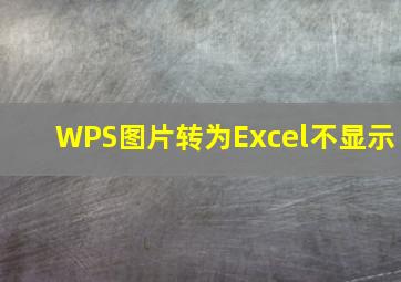 WPS图片转为Excel不显示