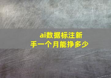 ai数据标注新手一个月能挣多少