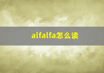 alfalfa怎么读