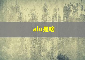 alu是啥