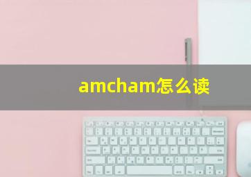 amcham怎么读