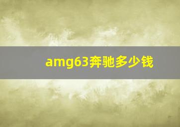 amg63奔驰多少钱