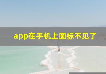 app在手机上图标不见了