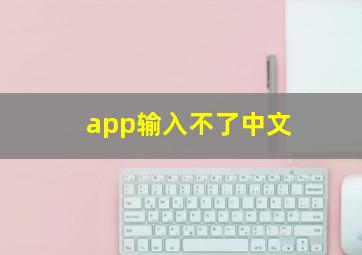 app输入不了中文