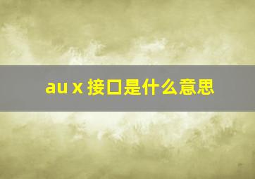 auⅹ接口是什么意思