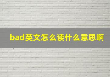 bad英文怎么读什么意思啊