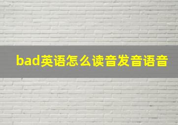 bad英语怎么读音发音语音