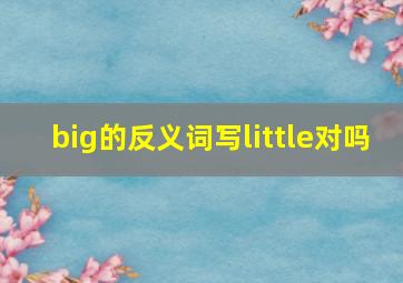 big的反义词写little对吗