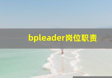 bpleader岗位职责