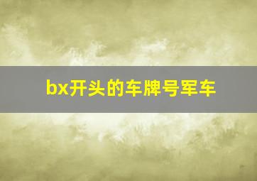 bx开头的车牌号军车