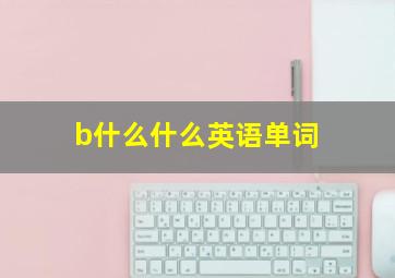 b什么什么英语单词