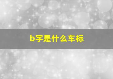 b字是什么车标