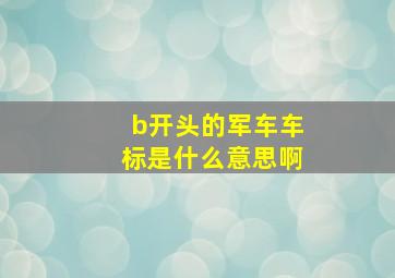 b开头的军车车标是什么意思啊