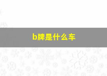 b牌是什么车