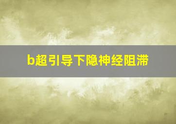 b超引导下隐神经阻滞