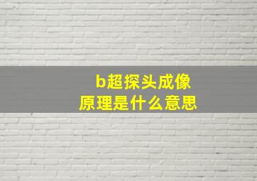 b超探头成像原理是什么意思