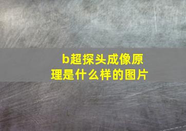 b超探头成像原理是什么样的图片